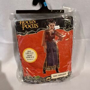 Disney Child's Hocus Pocus Mary Sanderson Halloween Costume Size Large (12-14)